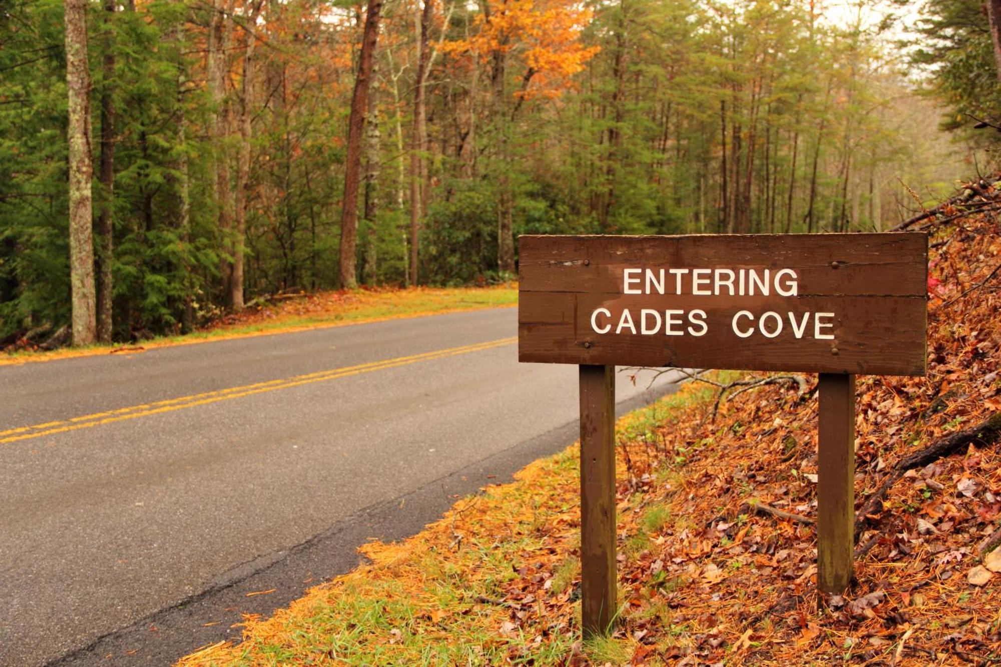 Maple Trails, Wifi, 1089 Free Tickets Each Paid Day, Dollywood And More Гатлинбург Экстерьер фото