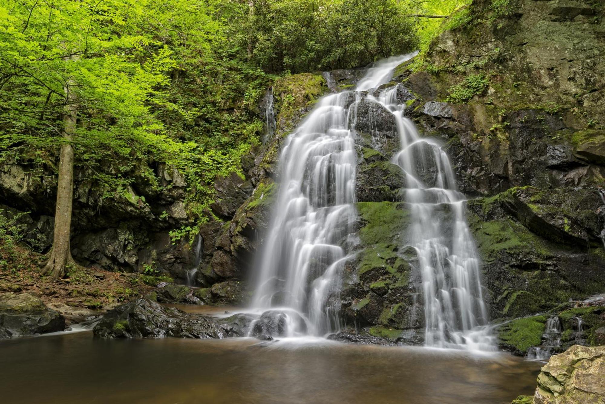 Maple Trails, Wifi, 1089 Free Tickets Each Paid Day, Dollywood And More Гатлинбург Экстерьер фото