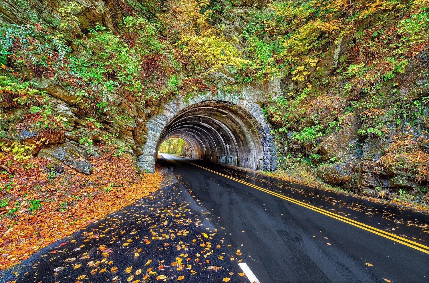 Maple Trails, Wifi, 1089 Free Tickets Each Paid Day, Dollywood And More Гатлинбург Экстерьер фото